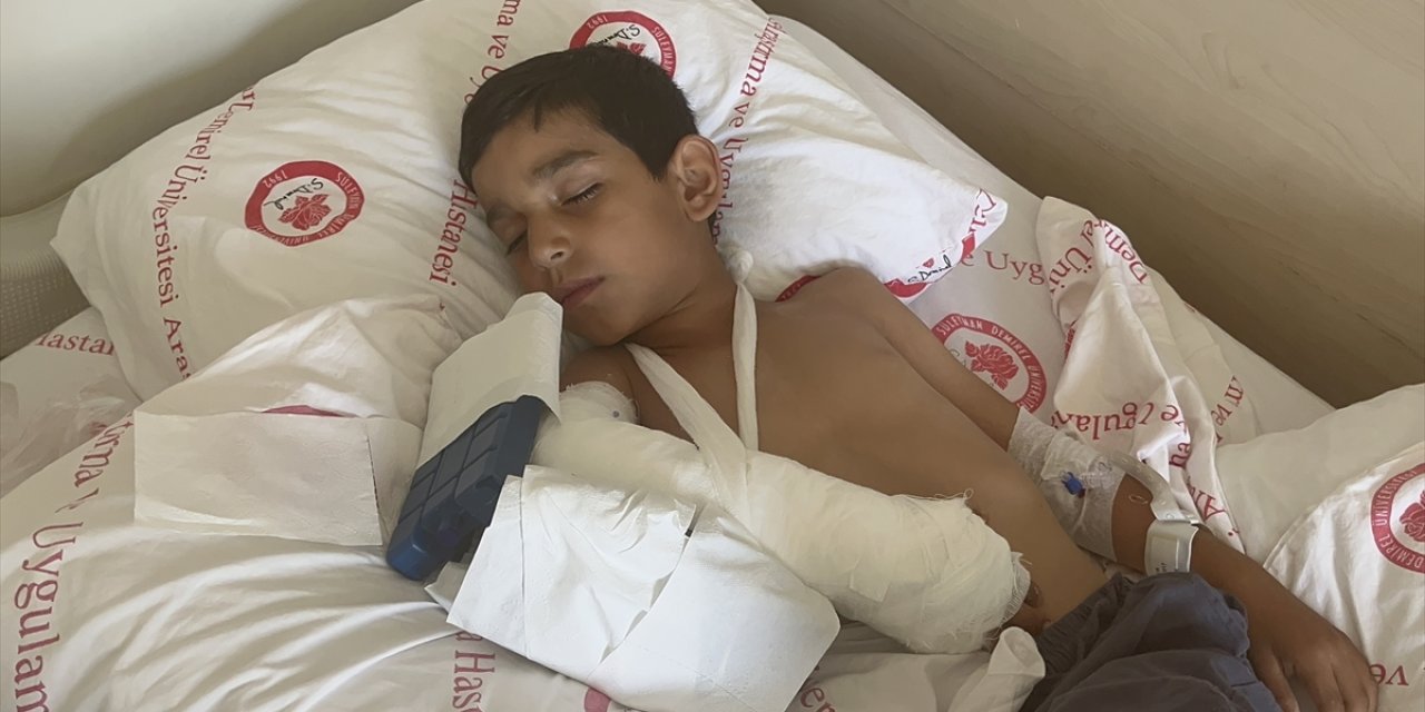 Isparta'da sahipsiz köpeklerin saldırdığı çocuk yaralandı