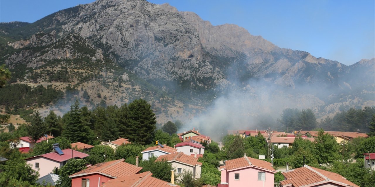 Adana'da örtü yangını kontrol altına alındı