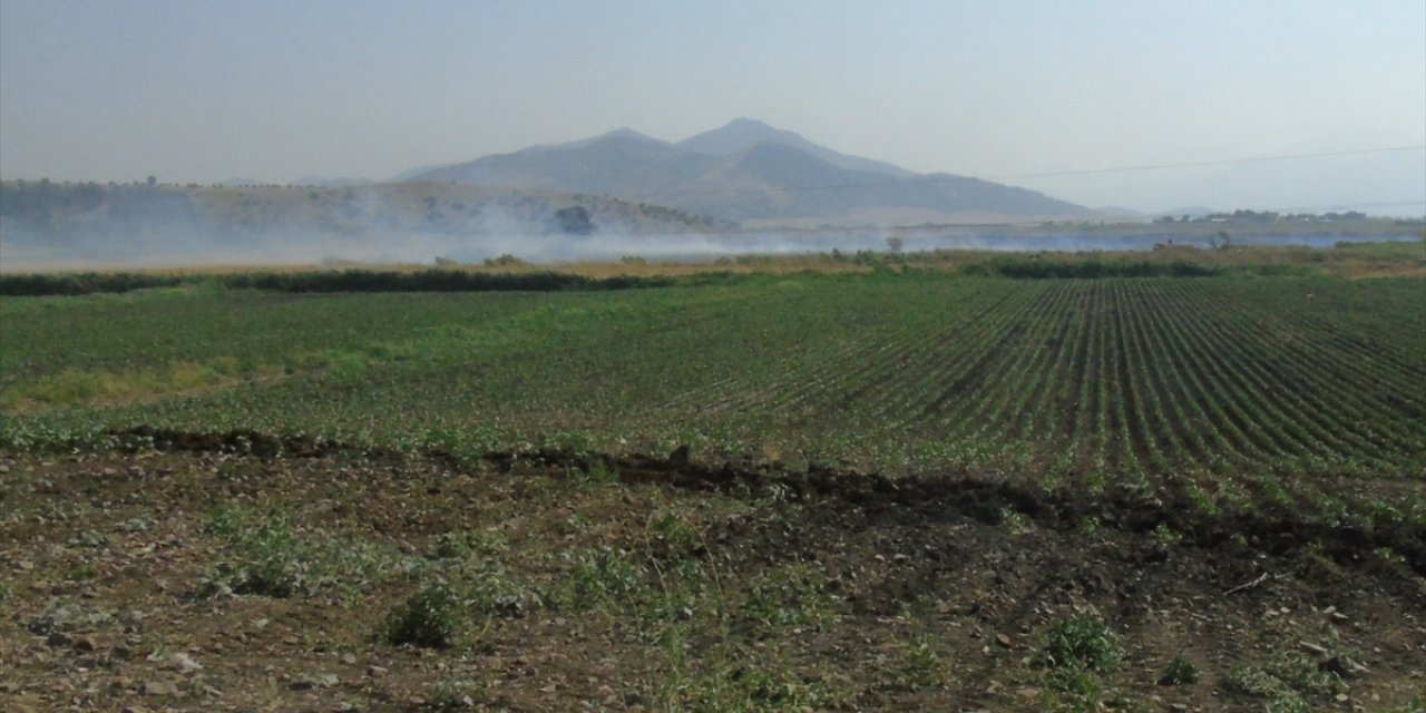 Gaziantep'te çıkan anız yangınında asmalar ve zeytin ağaçları zarar gördü