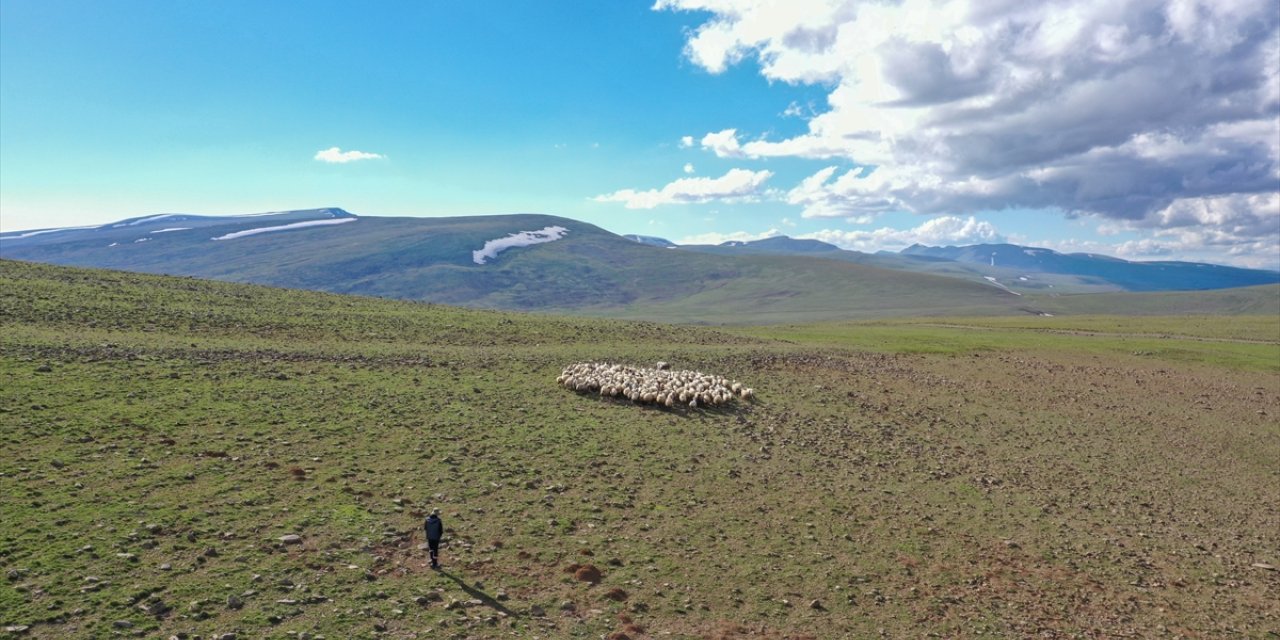 Erzurum'un karlı yaylaları göçer aileleri ağırlıyor