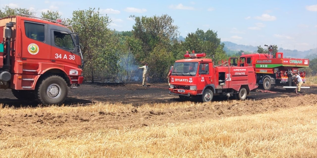Edirne'de anız alanından ormana sıçrayan yangın söndürüldü