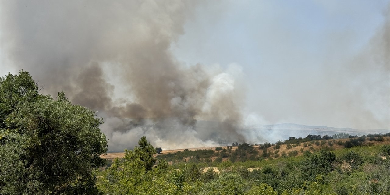 Edirne'de buğday tarlaları ve ormana sıçrayan yangın söndürüldü
