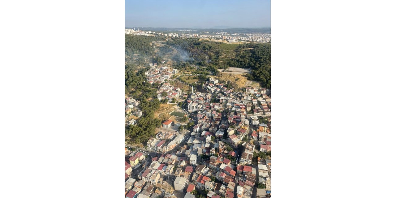 GÜNCELLEME - İzmir'de çıkan orman yangını kontrol altına alındı