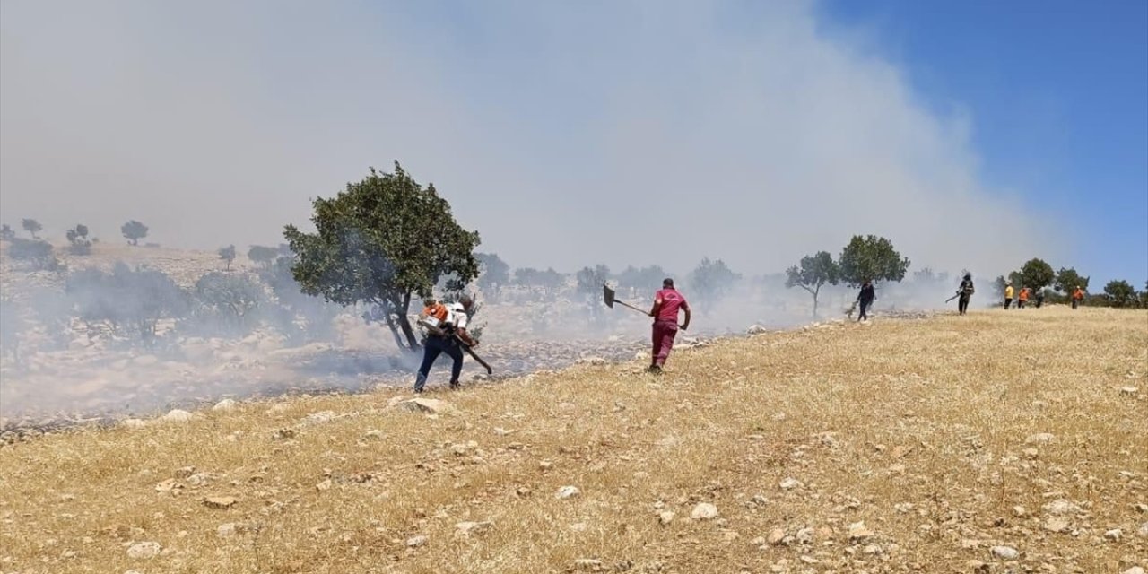 Mardin'de çıkan arazi yangını kontrol altına alındı