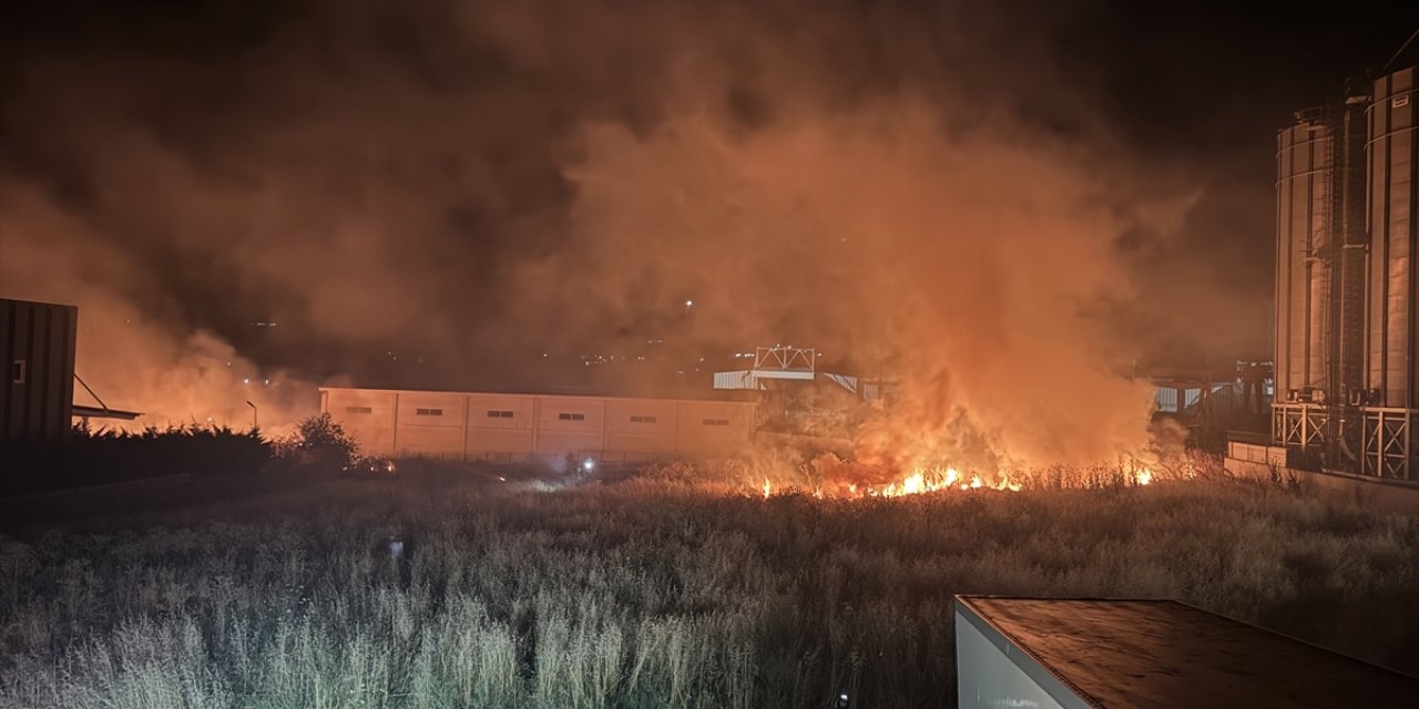 Tekirdağ'da elektrik trafosunun alev alması sonrası otluk alana sıçrayan yangın söndürüldü