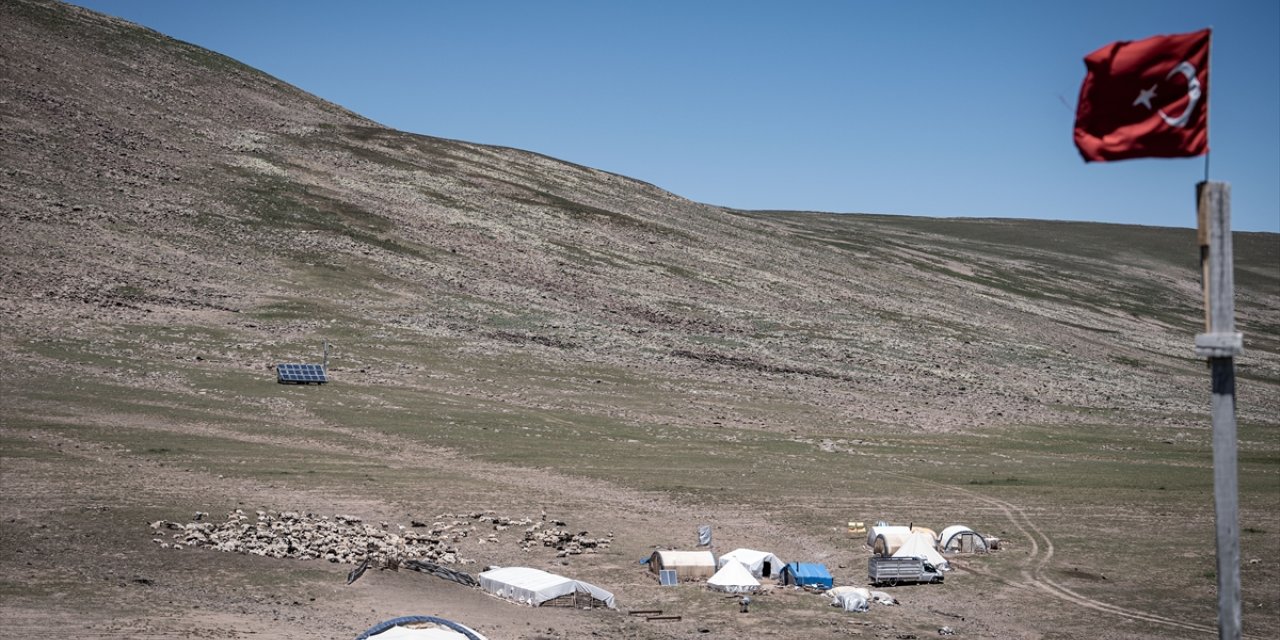 Erzurum yaylaları 500'ün üzerinde göçer aile ile 70 bin küçükbaşı ağırlıyor