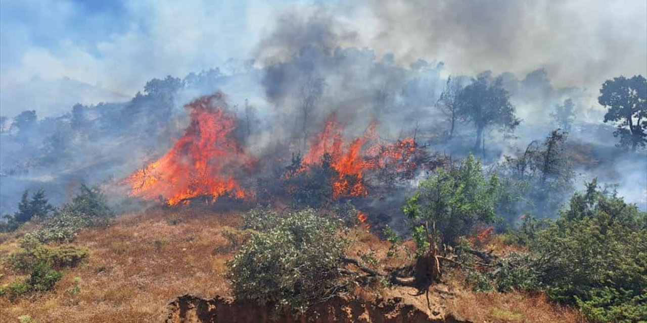 GÜNCELLEME - Bingöl'ün 2 ilçesinde çıkan orman yangınları söndürüldü