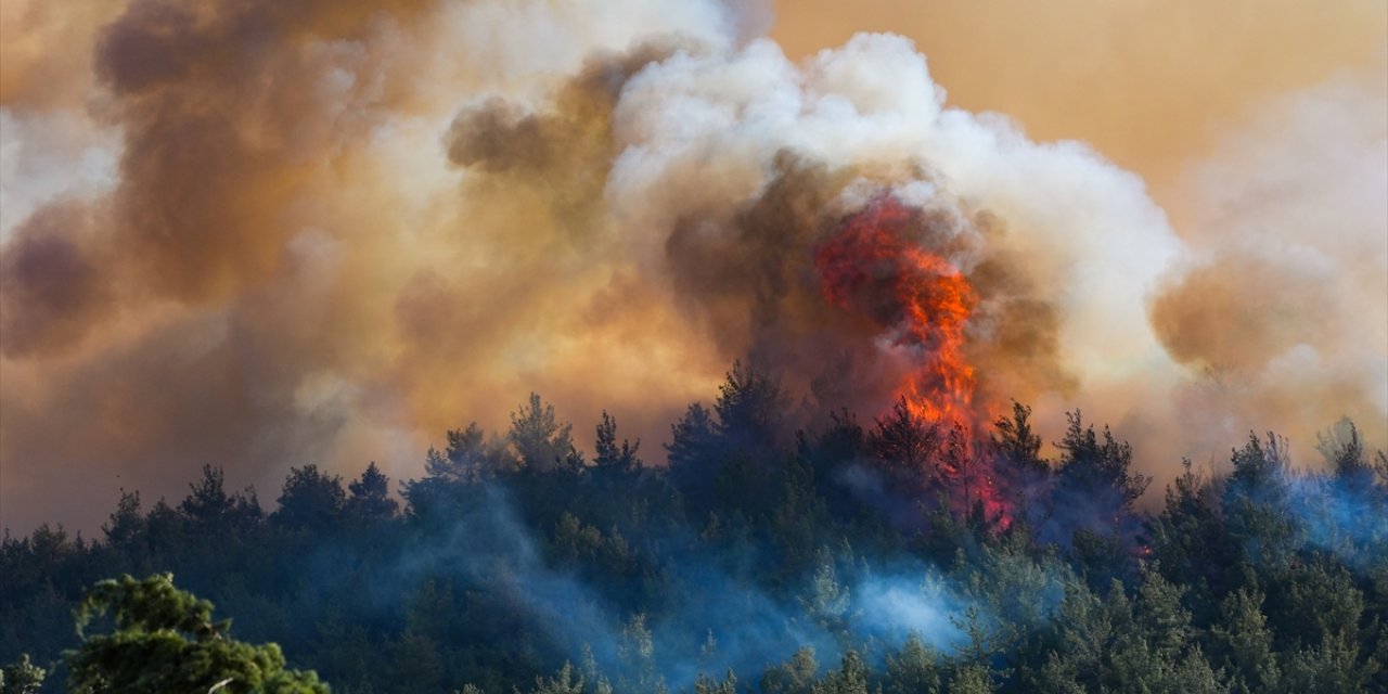 GÜNCELLEME - İzmir'in Selçuk ilçesinde orman yangını çıktı