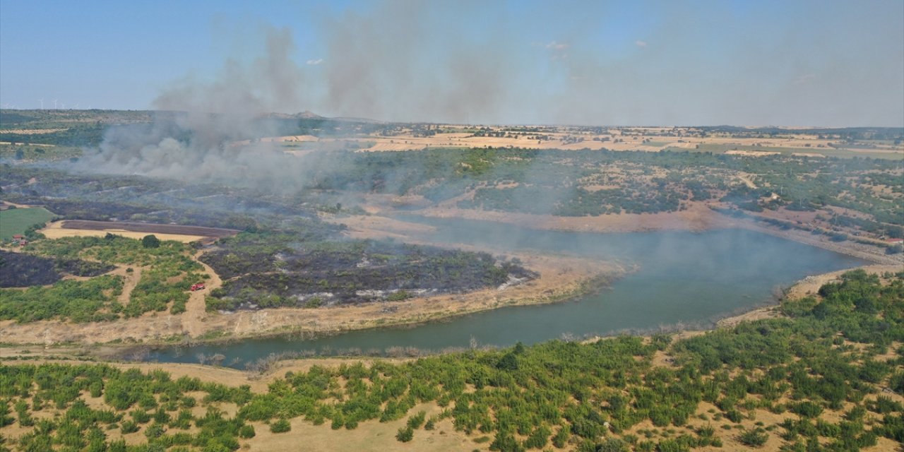 GÜNCELLEME - Edirne'de tarlada çıkıp ormana sıçrayan yangın kontrol altına alındı