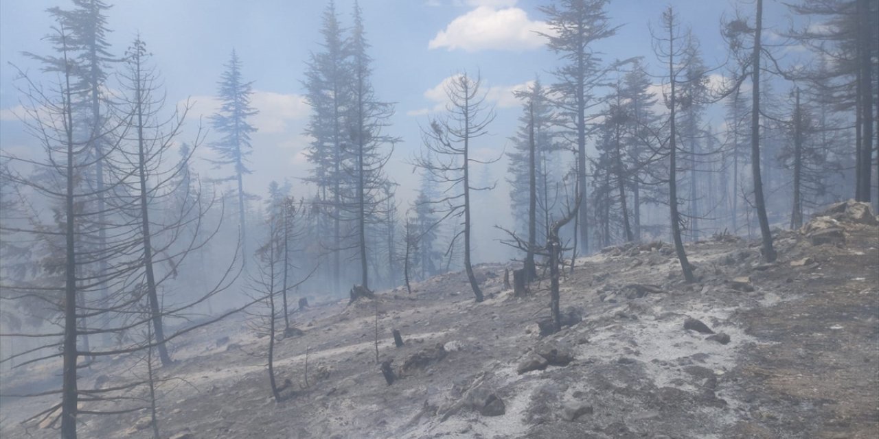 GÜNCELLEME  - Karaman'da çıkan orman yangını kontrol altına alındı