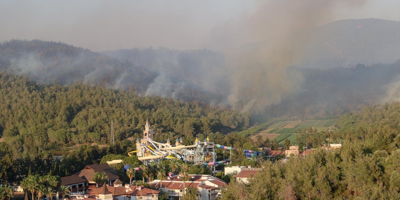 GÜNCELLEME 3 - İzmir'in Selçuk ilçesinde orman yangını çıktı