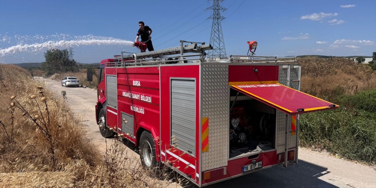 Bursa'da makilik alanda çıkan yangına müdahale ediliyor