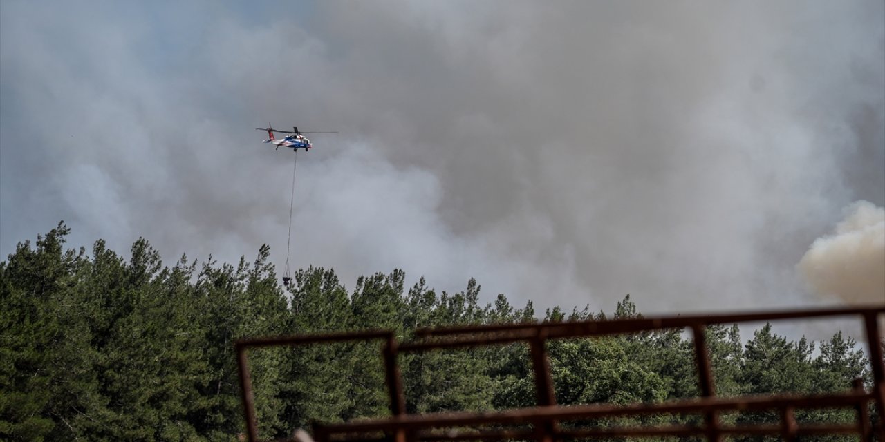 GÜNCELLEME - Bursa'da makilik alanda çıkan yangın kampüsteki ormana sıçradı