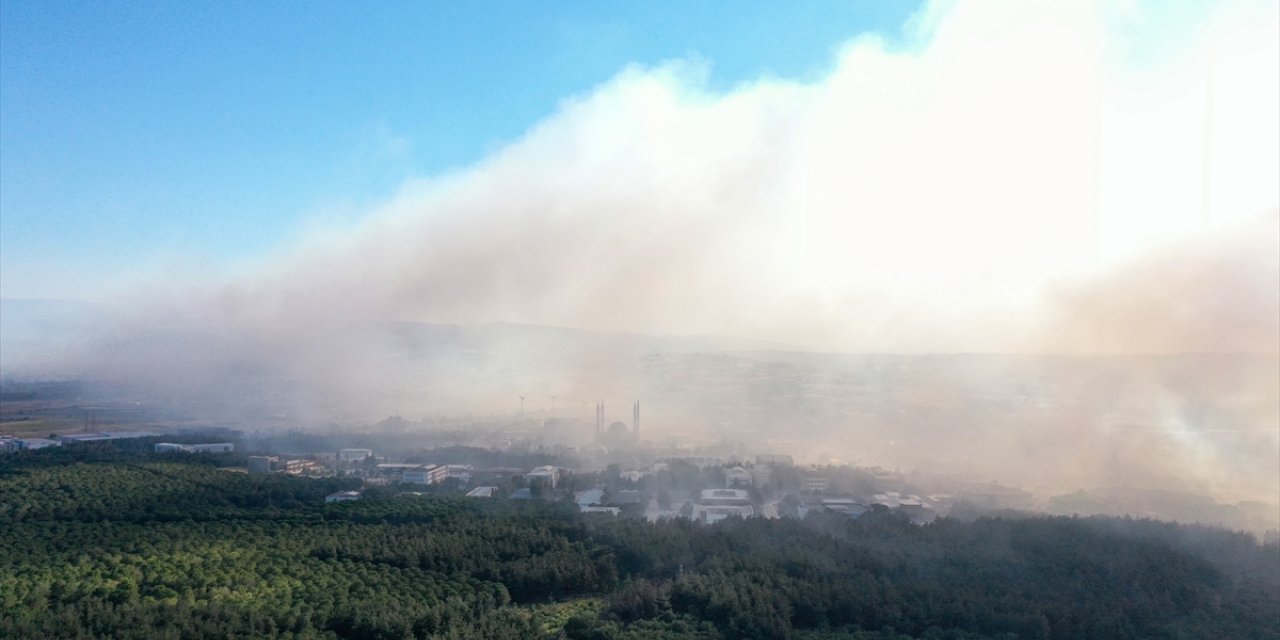 GÜNCELLEME 2 - Bursa'da makilik alanda çıkan yangın kampüsteki ormana sıçradı