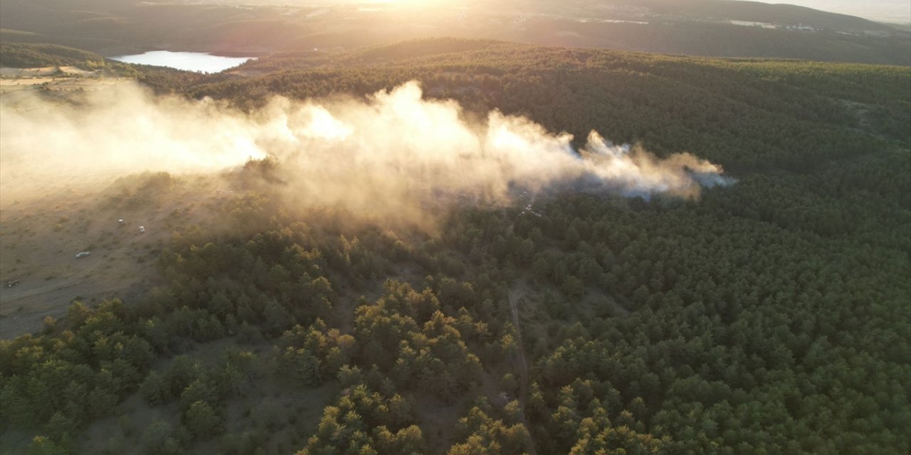 Kastamonu'da çıkan orman yangını kontrol altına alındı