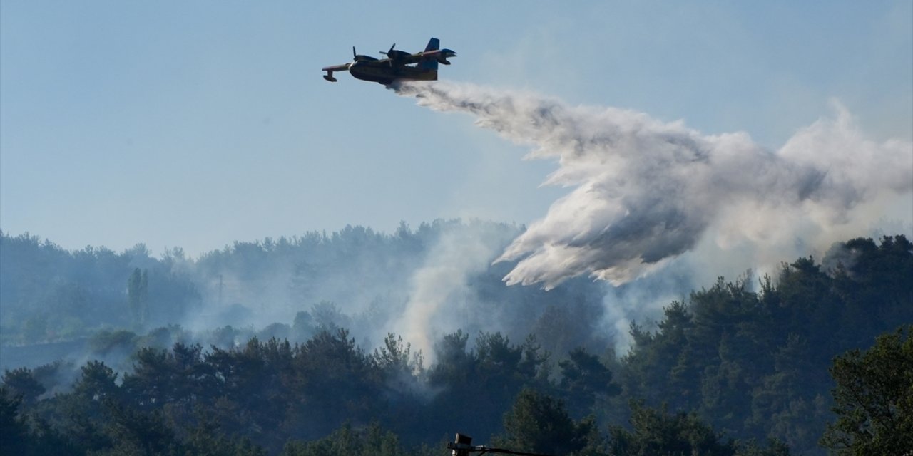 GÜNCELLEME 3 - İzmir Bornova'da çıkan orman yangınına müdahale ediliyor
