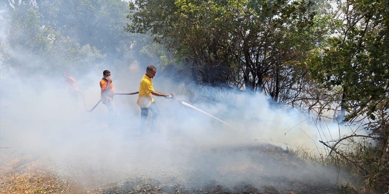 GÜNCELLEME - Balıkesir'de çıkan orman yangınına müdahale ediliyor