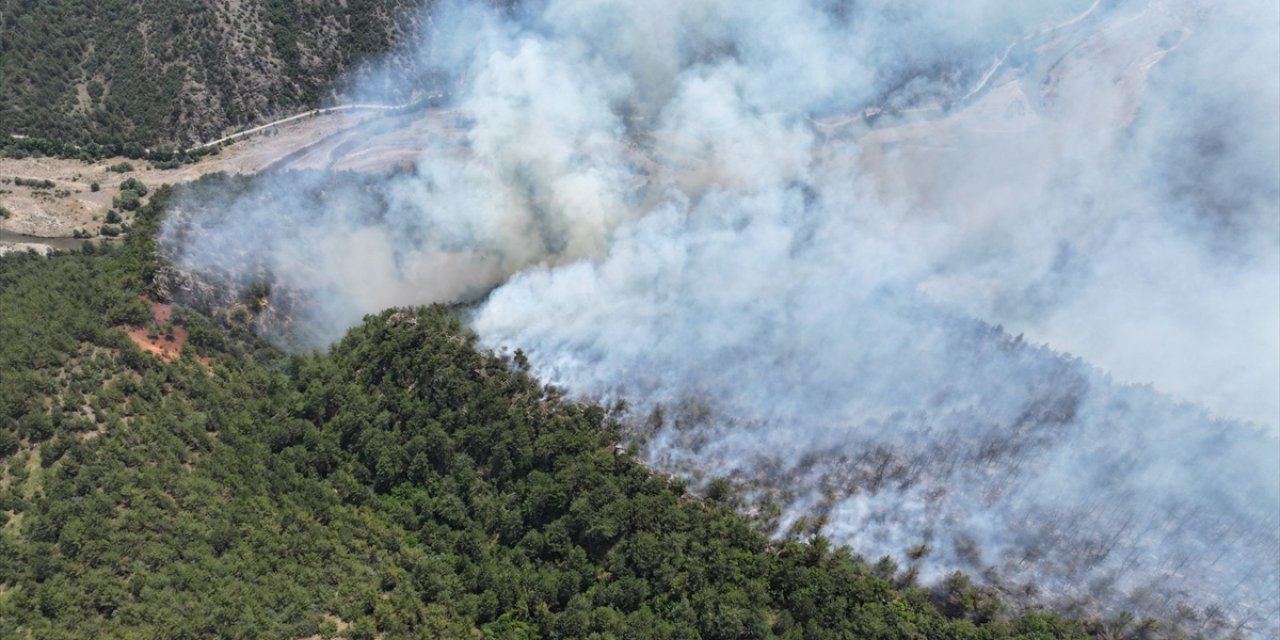 Karabük'te çıkan orman yangınına müdahale ediliyor