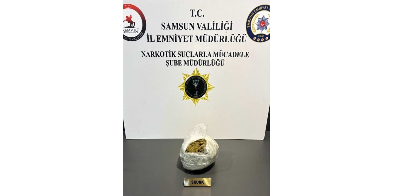 Samsun'daki narkotik denetimlerinde 21 şüpheli yakalandı