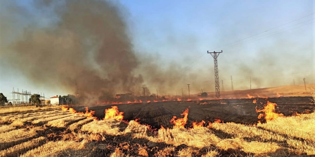 Şanlıurfa'da anız yangınları 2 bin 370 aboneyi elektriksiz bıraktı