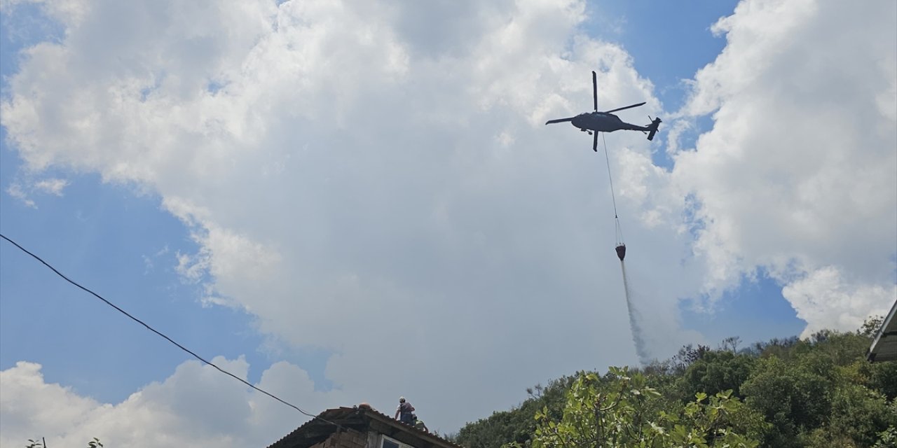 Aydın'da ağılda başlayıp zeytinlik alana sıçrayan yangın kontrol altında