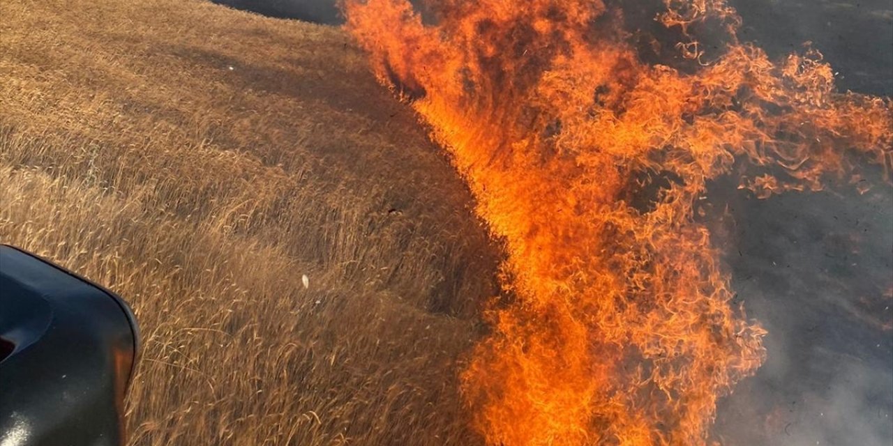 Yozgat'ta çıkan yangında 1000 dekar buğday tarlası yandı