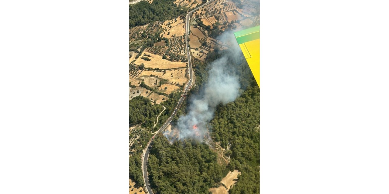 Muğla'nın Milas ilçesinde orman yangını çıktı