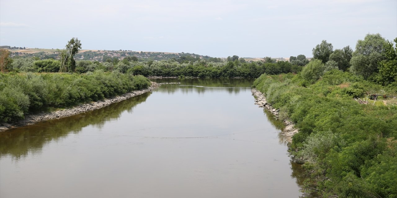 Meriç Nehri'nde su akışının hızlanması için temizlik yapılacak