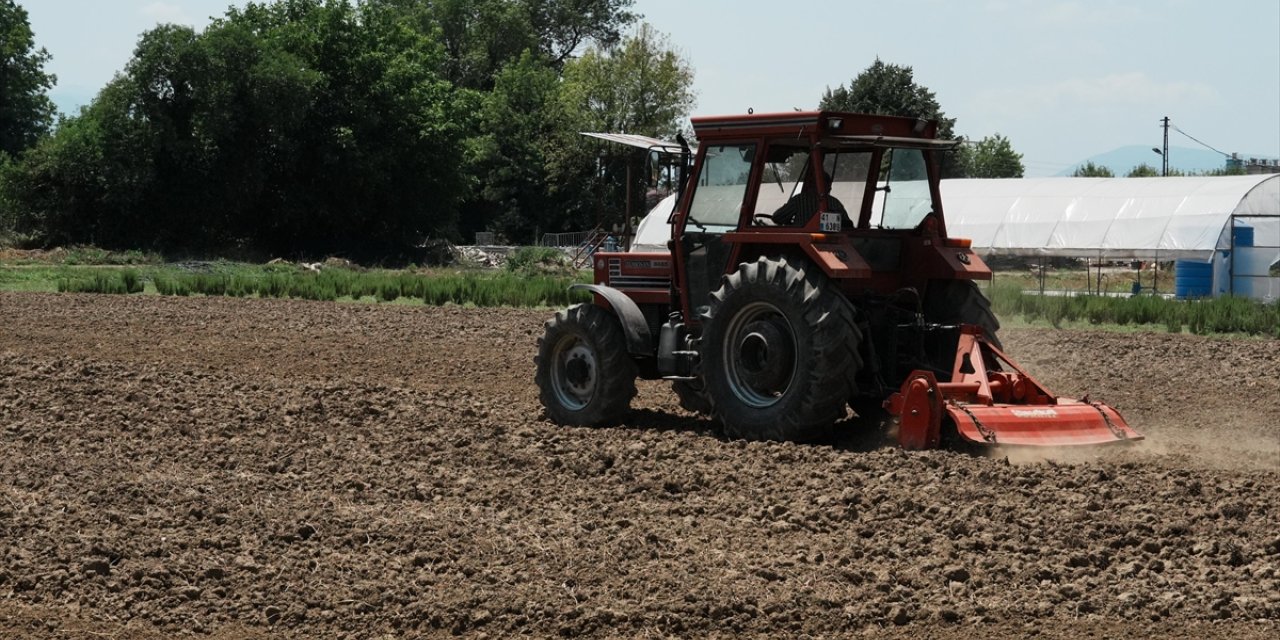 Düzce'de "Tarım Akademisi" arazisinde tıbbi aromatik bitki üretilecek