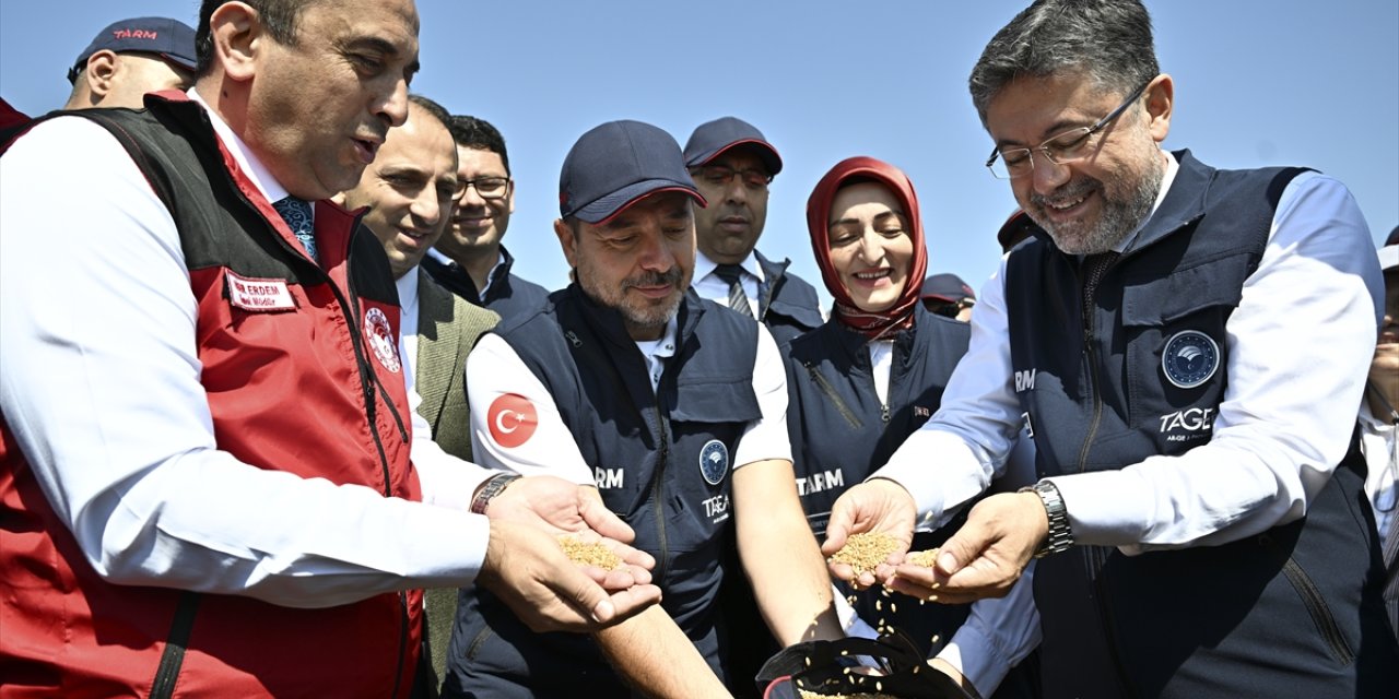 Tarım ve Orman Bakanı Yumaklı, yerli ve milli buğday çeşitlerinin hasadına katıldı: