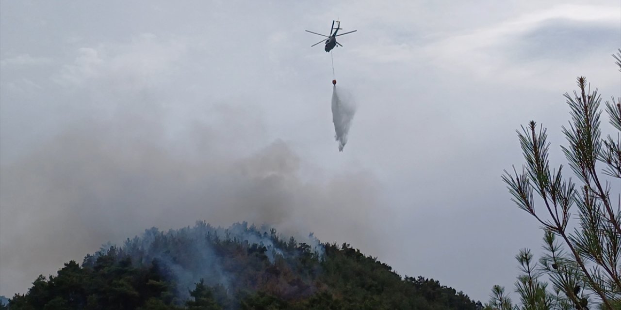 Karabük'te ormanlık alanda çıkan yangına müdahale ediliyor