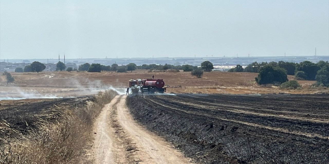 Tekirdağ'da çıkan anız yangını söndürüldü