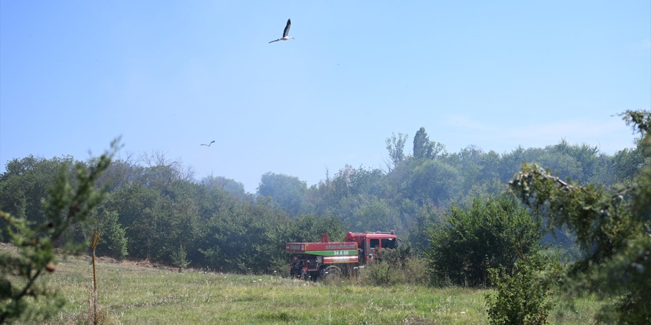 Edirne'de üniversitenin botanik bahçesinde  çıkan yangın söndürüldü