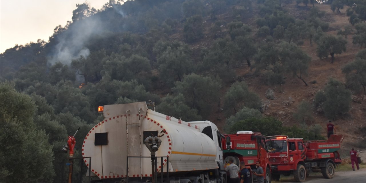 GÜNCELLEME - Aydın'da zeytinlik ve ormanlık alanda çıkan yangın kontrol altına alındı