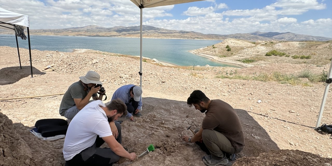 Kayseri Yamula Barajı çevresindeki fosil çeşitliliği dikkati çekiyor