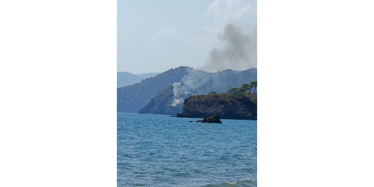 Fethiye'de ormanlık alanda çıkan yangın söndürüldü