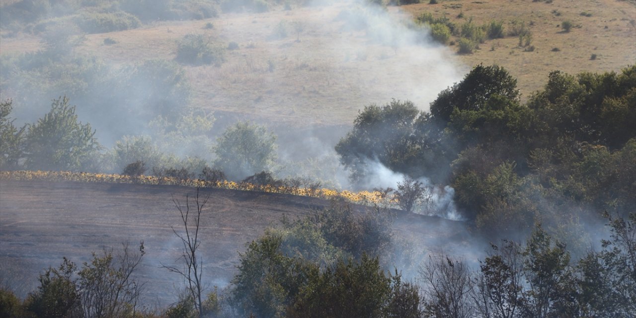 Tekirdağ'da çıkan anız yangını söndürüldü