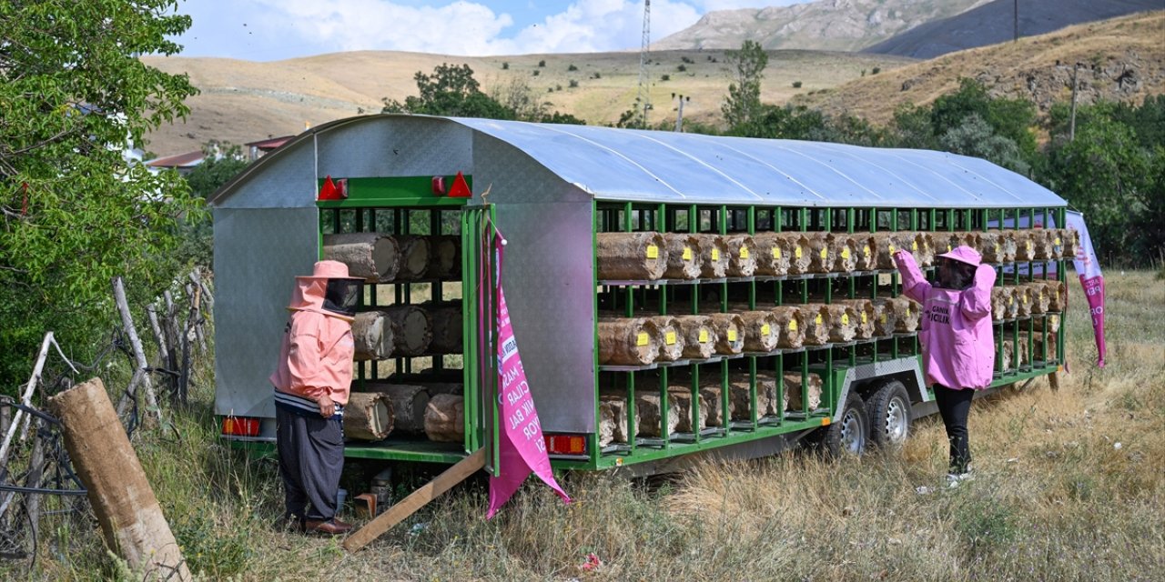 Vanlı "pembe maskeli" kadın arıcılara kovan desteği