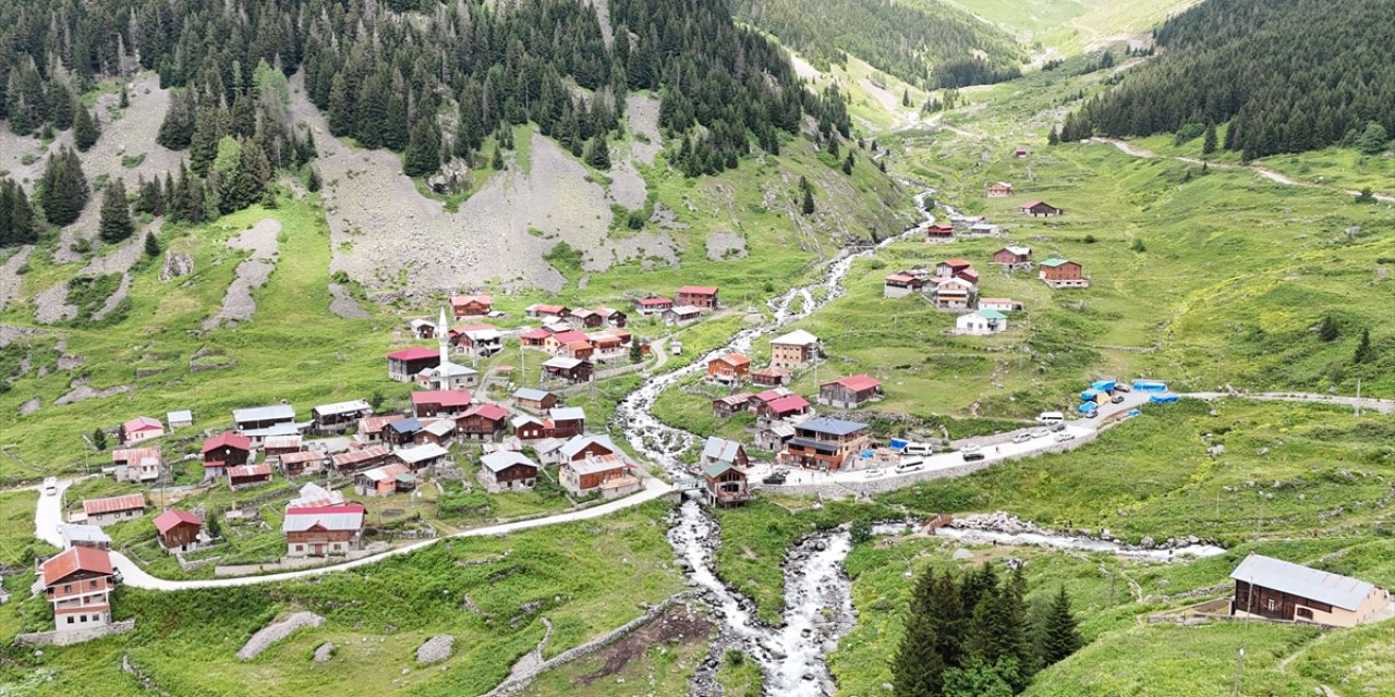 Kaçkar'daki yaylanın kadınları yarım asırdır hayvancılık yapıyor