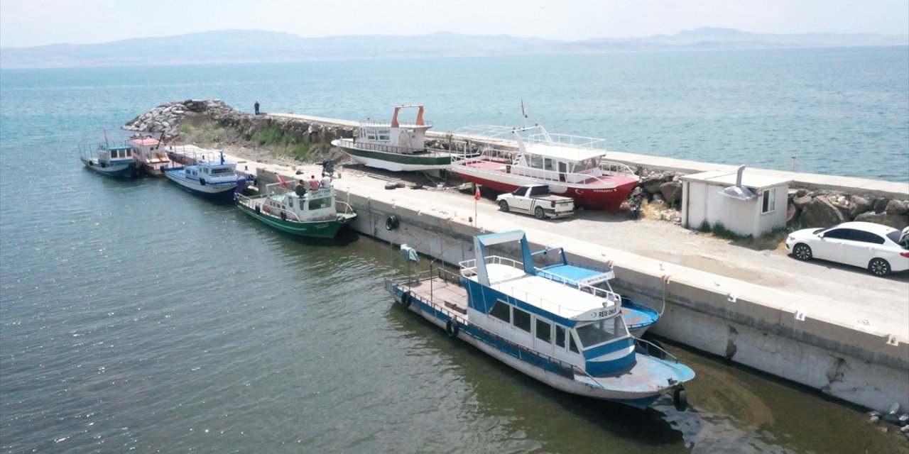 Van Gölü'nde balık göçü tamamlandı, av yasağı kalkıyor