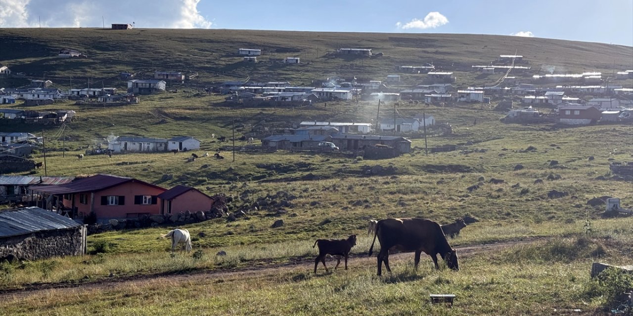 Ardahan'daki yayla evlerinde yaşayanlar odun kırıp soba yakıyor