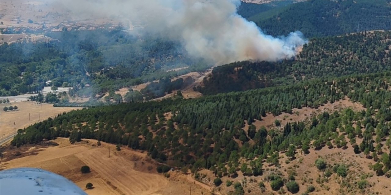 Balıkesir'de ormanlık alanda çıkan yangına müdahale ediliyor