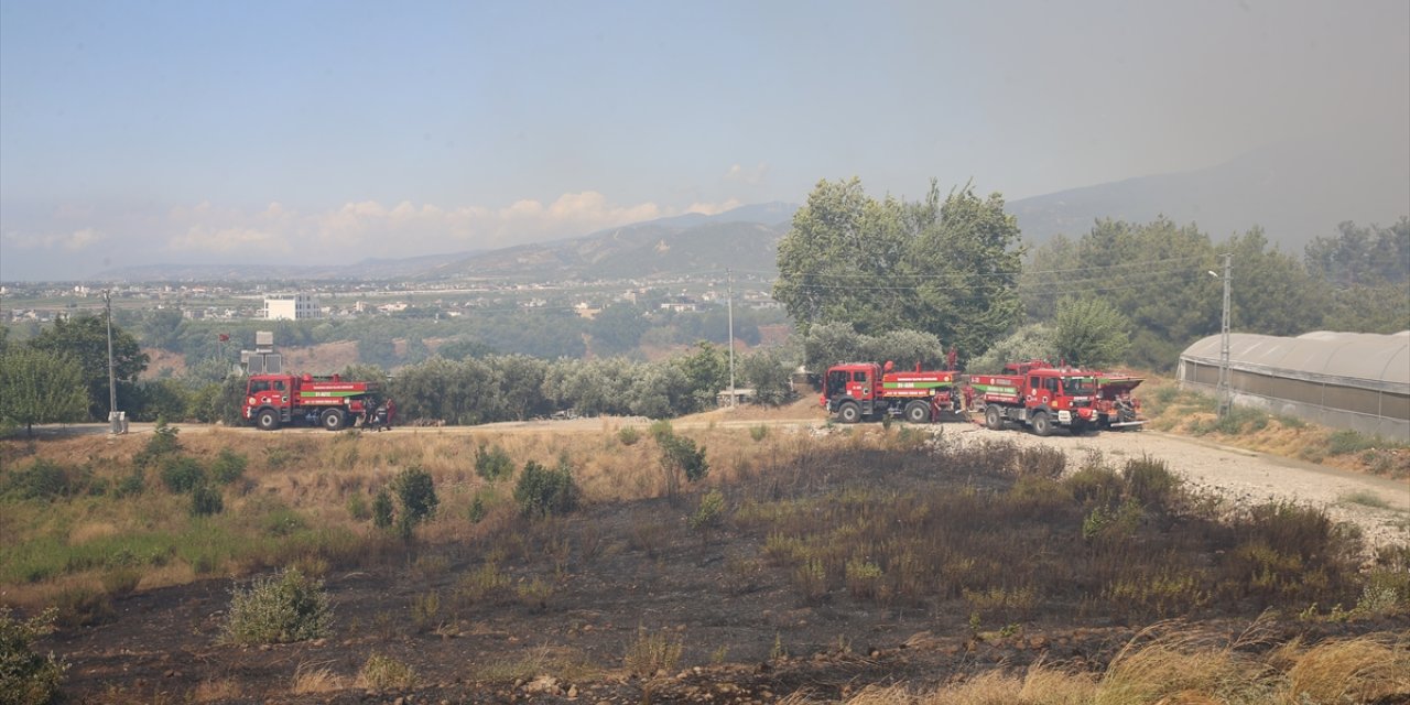 Hatay'da çıkan orman yangına müdahale ediliyor