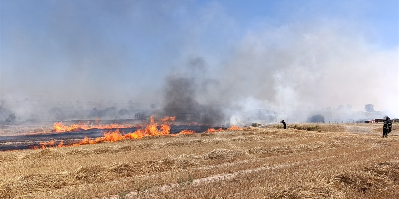 Tekirdağ'da çıkan anız yangını söndürüldü