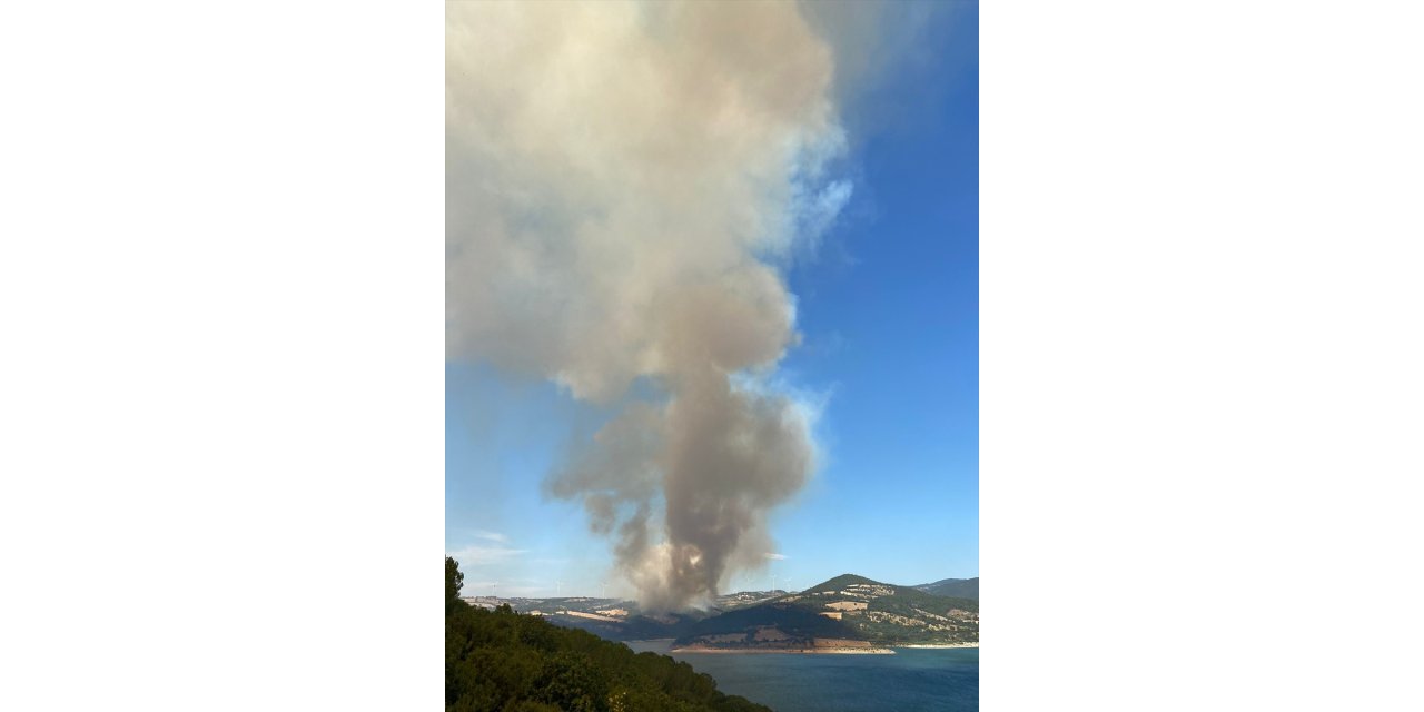 Çanakkale'de tarım arazisinde çıkıp ormanlık alana sıçrayan yangına müdahale ediliyor