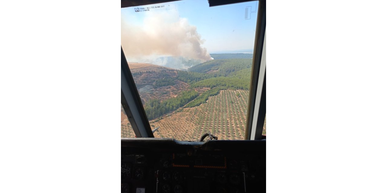 İzmir'in Menderes ilçesinde orman yangını çıktı