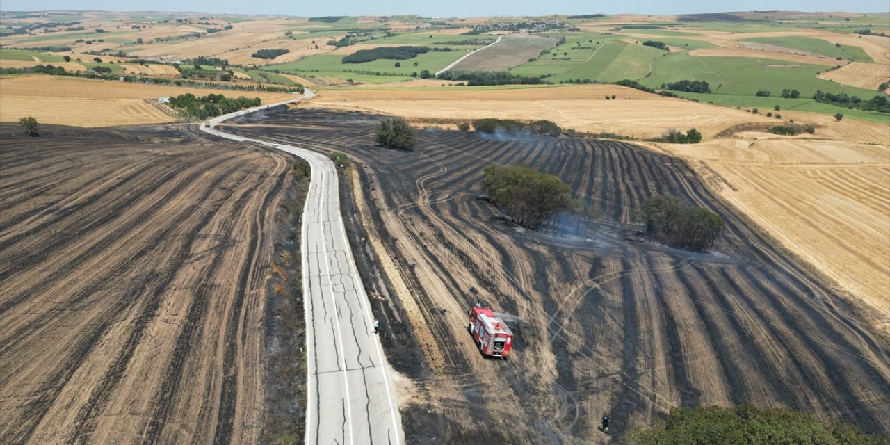 Tekirdağ'da çıkan anız yangını söndürüldü