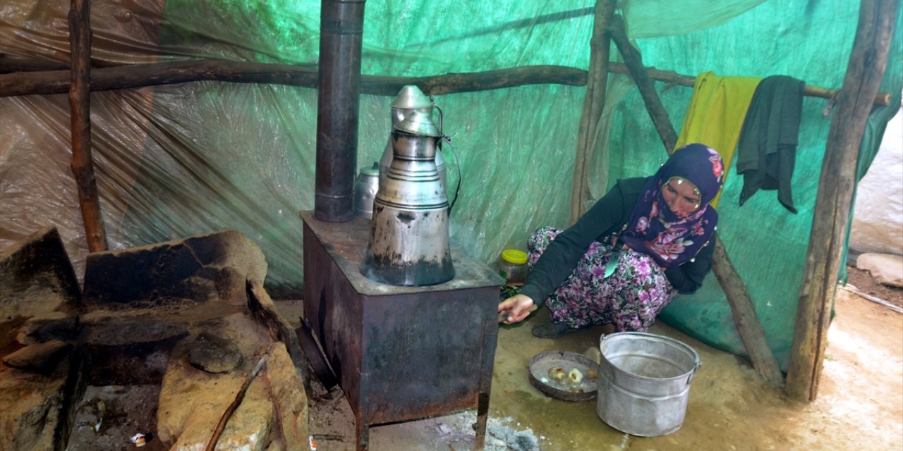 Muş'ta kadınların yayla mesaisi sürüyor