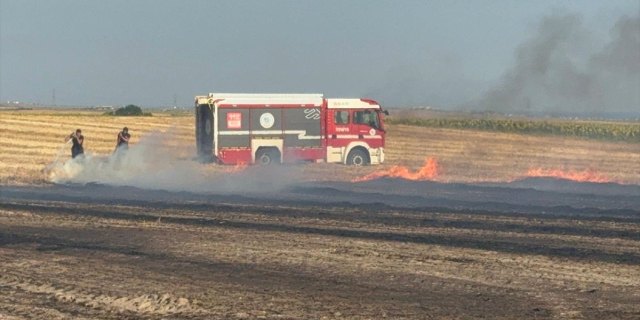 Tekirdağ'da çıkan anız yangını söndürüldü