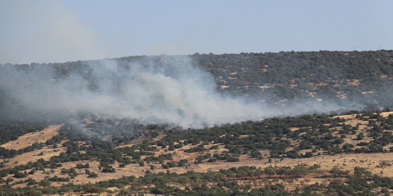 GÜNCELLEME - Kilis'te çıkan orman yangını söndürüldü